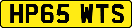 HP65WTS