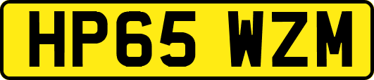 HP65WZM