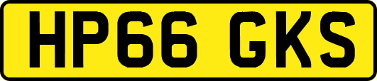 HP66GKS