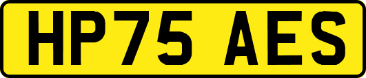 HP75AES