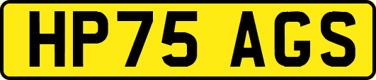 HP75AGS