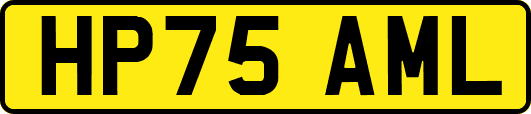 HP75AML