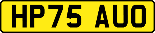 HP75AUO