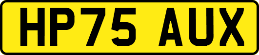 HP75AUX
