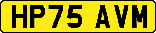 HP75AVM