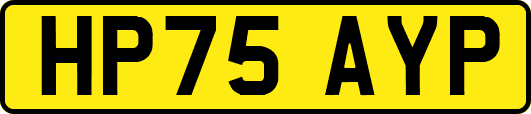 HP75AYP