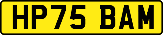 HP75BAM
