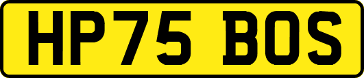 HP75BOS