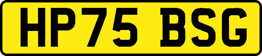 HP75BSG