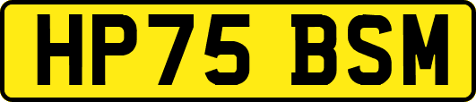 HP75BSM