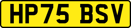 HP75BSV