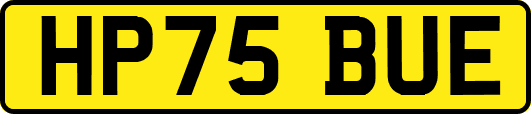HP75BUE