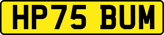 HP75BUM