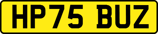 HP75BUZ