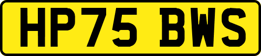 HP75BWS