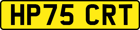 HP75CRT