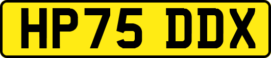 HP75DDX