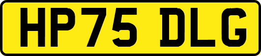 HP75DLG