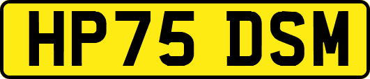 HP75DSM