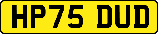 HP75DUD