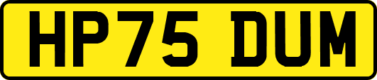 HP75DUM