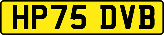 HP75DVB