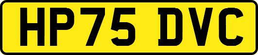 HP75DVC