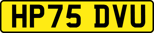 HP75DVU