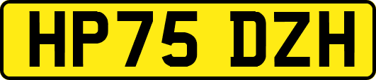 HP75DZH