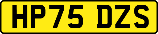 HP75DZS