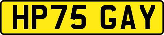 HP75GAY