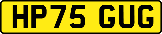 HP75GUG
