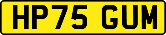 HP75GUM