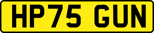 HP75GUN