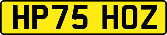 HP75HOZ