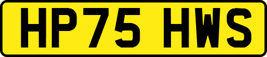 HP75HWS