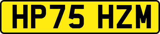 HP75HZM
