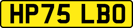 HP75LBO