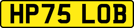 HP75LOB