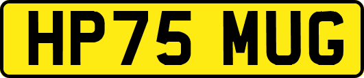 HP75MUG