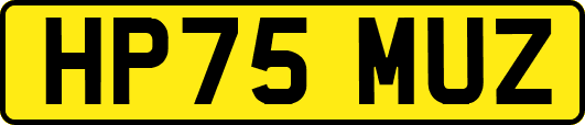 HP75MUZ