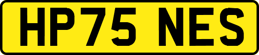 HP75NES