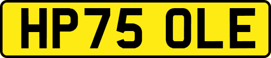 HP75OLE