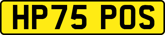 HP75POS