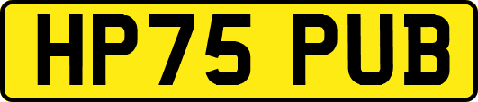 HP75PUB