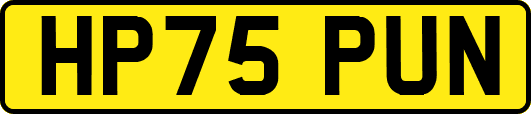 HP75PUN