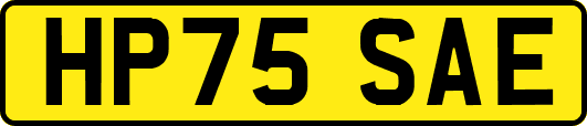 HP75SAE