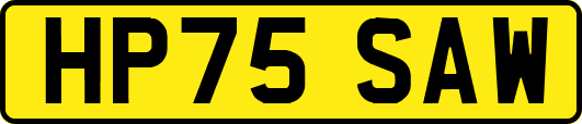 HP75SAW