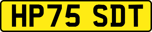 HP75SDT