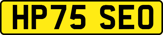 HP75SEO